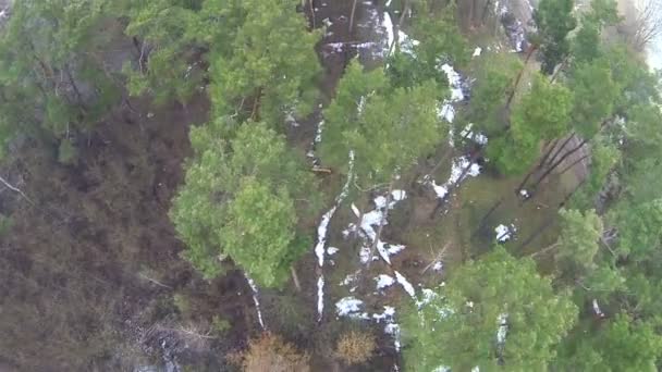 在冬季的木材。空中的顶视图 — 图库视频影像