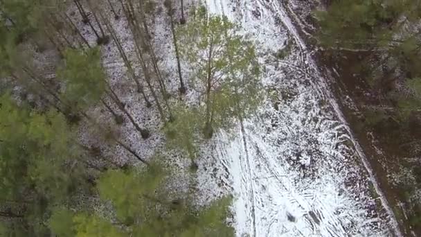 Flight over winter wood.. Aerial top view — стоковое видео