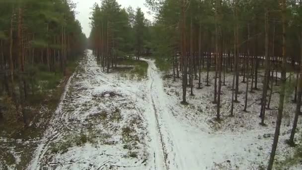 Mooie vlucht over bomen in winter hout... Luchtfoto — Stockvideo