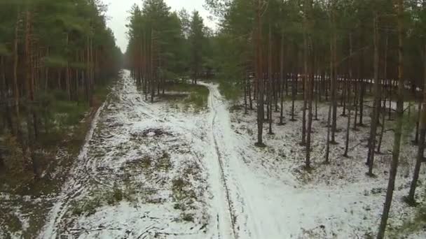 Vacker flygning över träden i vinter trä... Flygfoto — Stockvideo