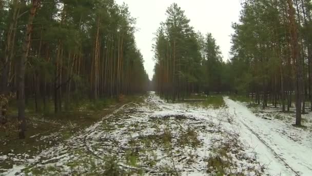 Omhoog boven hout. Mooie vlucht... Luchtfoto — Stockvideo