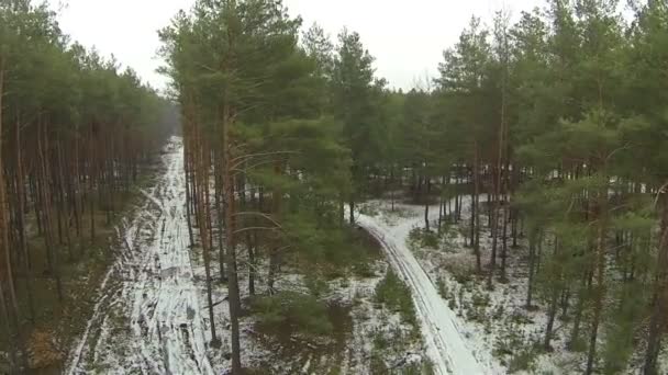 Vol lent dans le bois.. Vue aérienne 
