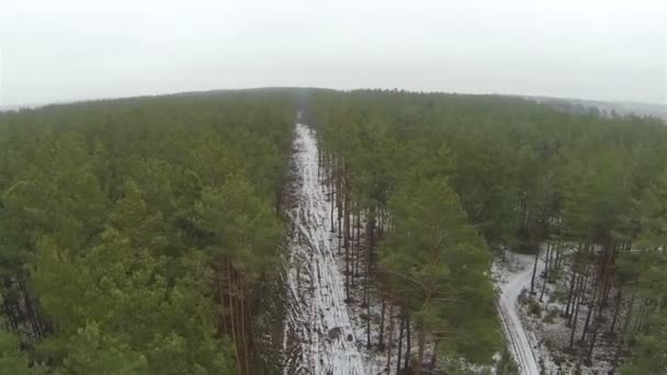 Vuelo sobre bosque rural de invierno.. Vista aérea — Vídeo de stock