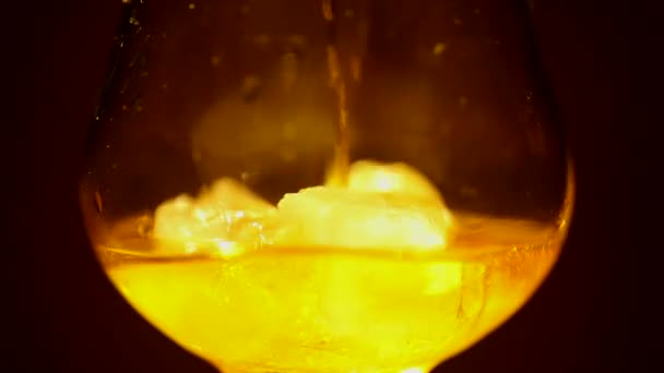Cognac, brandy med is hälls. På nära håll — Stockvideo