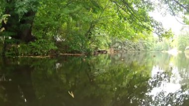 Ahşap ve lake. Su üzerinde uçuş