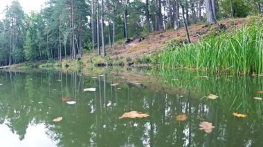 Sonbaharda Gölü üzerinden yavaş uçuş