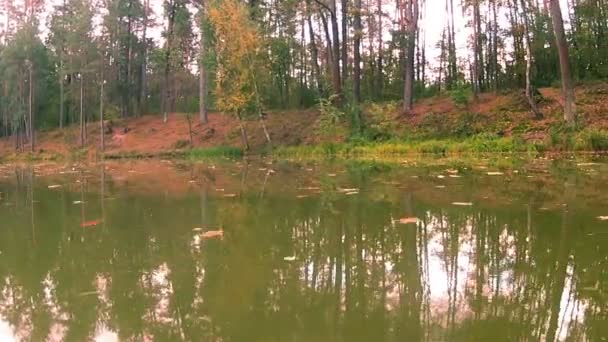 Полет над озером осенью — стоковое видео