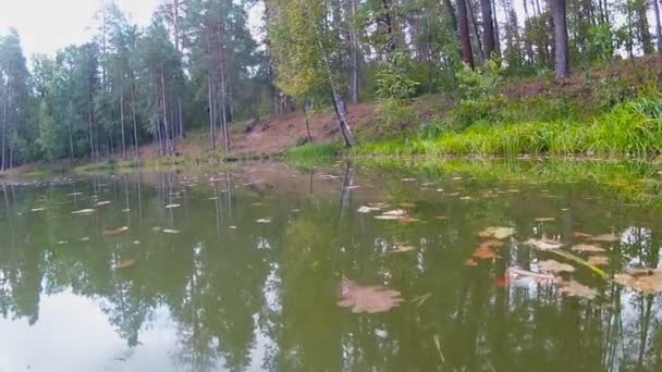 Vlucht over een herfst vijver — Stockvideo