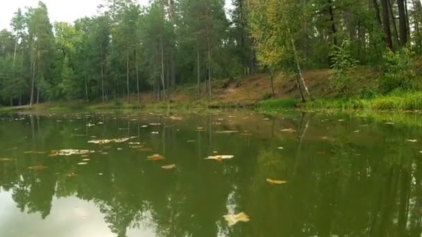 Vuelo rápido sobre un estanque de otoño . — Vídeo de stock