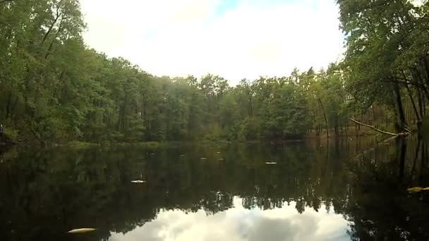 Schneller Flug über einen Herbstteich. — Stockvideo