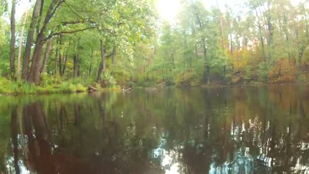 秋の湖でフライト。風景 — ストック動画