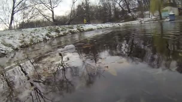 Bewegung mit Eintauchen in einen Teich — Stockvideo