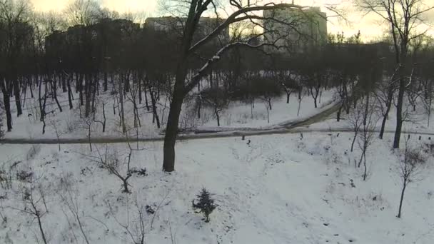 Panorama des winterlichen Stadtparks. Antenne — Stockvideo