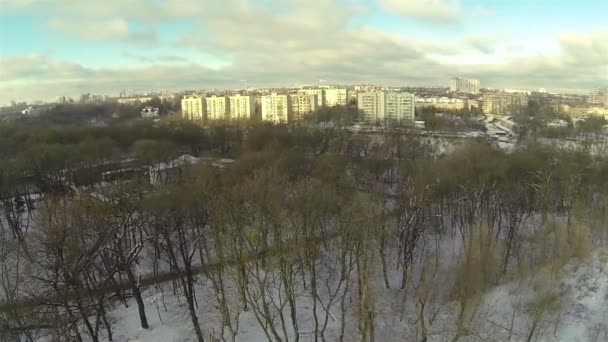 Panorama van winter stadspark. Luchtfoto — Stockvideo