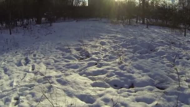 Χιόνι στο πάρκο και τον ήλιο. Εναέρια — Αρχείο Βίντεο
