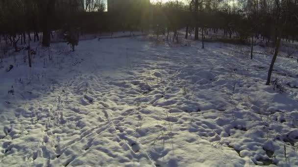 Nieve en el parque y el sol. Aérea lenta — Vídeos de Stock