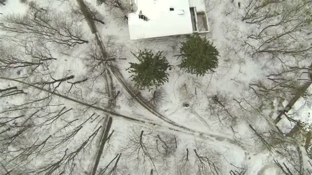 Panorama des winterlichen Stadtparks. Antenne — Stockvideo