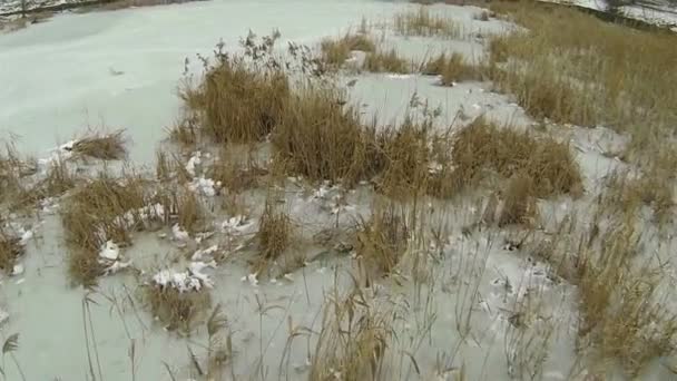 Zugefrorener See mit einem Rohrstock im Winter. Antenne — Stockvideo