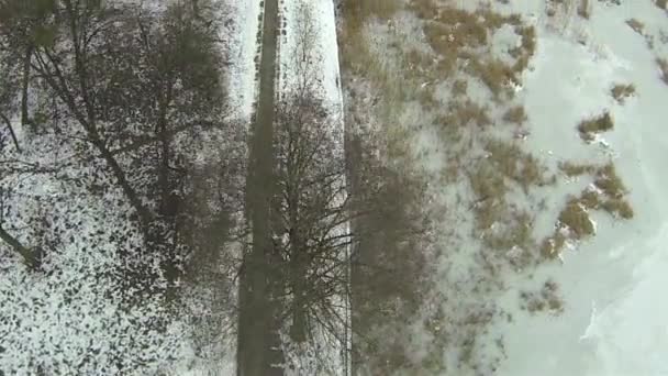 Paisaje con lago en invierno. Antena — Vídeo de stock