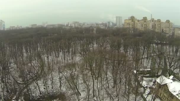 Парк і будинки з трубою і димом. Повітряні — стокове відео