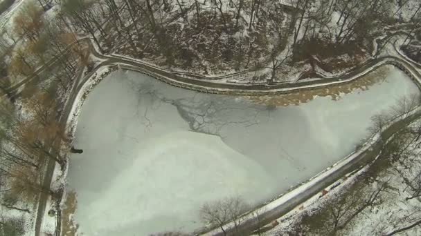 Landscape with  lake in  winter. Aerial — Stock Video