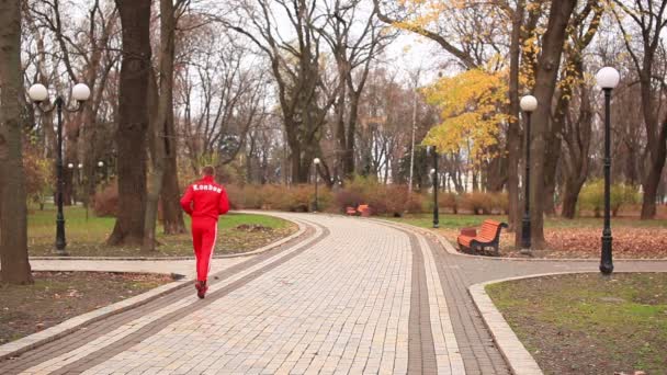 Чоловік біжить в осінньому парку — стокове відео