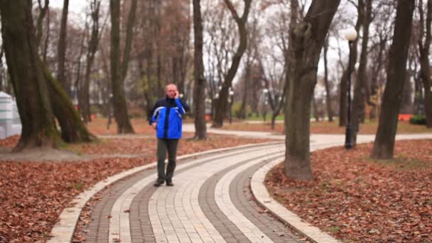 Felnőtt ember beszél a mobil őszi parkban — Stock videók