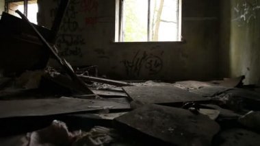 evi yok. Hayvan bir bakış açısı. Stabilize klip