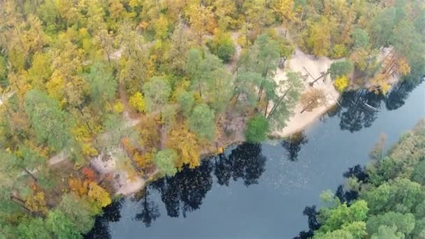 Voar sobre a bela floresta e rio. Grampo aéreo — Vídeo de Stock