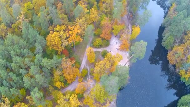 De rivier in het hout in de herfst. Luchtfoto clip — Stockvideo