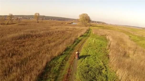 Motorrijder in het veld — Stockvideo