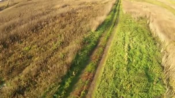 Vuelo rápido sobre un camino de tierra — Vídeos de Stock