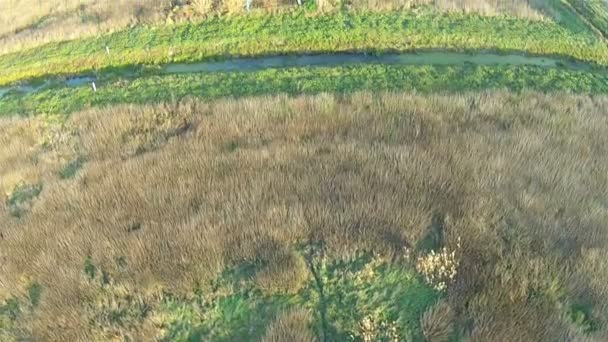 Stromsäule im Feld. Antenne — Stockvideo