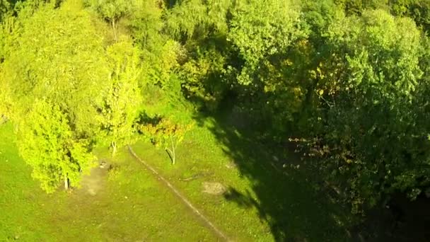 Levantando la madera. Antena — Vídeo de stock