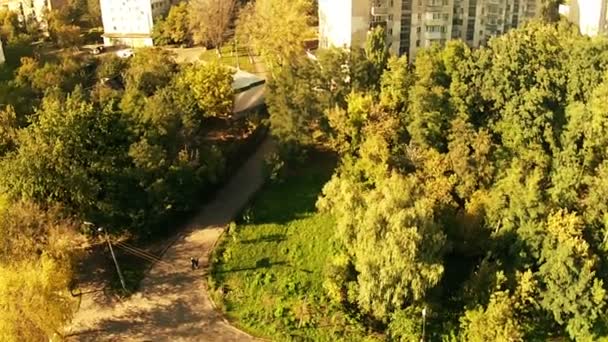 Panorama des Stadtparks. Antenne — Stockvideo