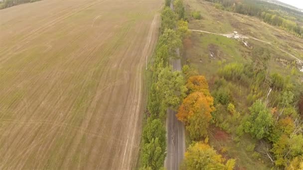 Veld, hout en weg. Luchtfoto — Stockvideo