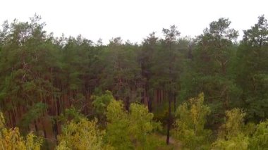 Uçuş göl ve ahşap banliyösünde. Hava