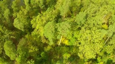 Ahşap ve nehir Köprüsü ile uçuş