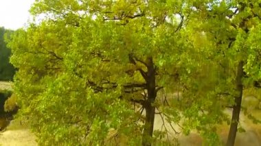 Ahşap üzerinde kaldırma. Hava