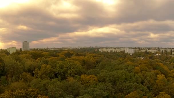 Дерево и город осенью, вид с воздуха — стоковое видео