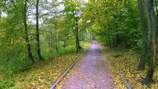 Autumn park, aerial view — Stock Video