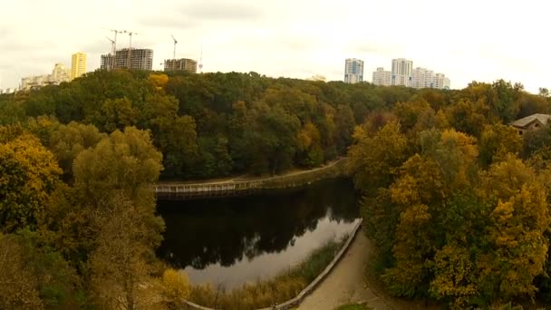 Beautiful autumn tree, aerial view — Stock Video