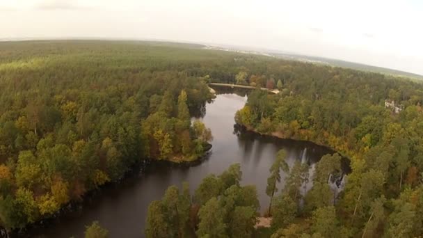 Flight over  wood and  river. Landscape — Stock Video