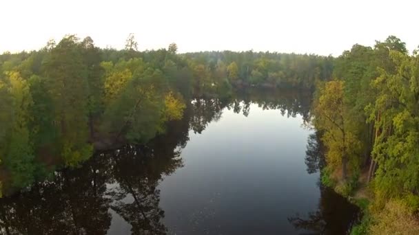 Fiume e bosco. Paesaggio dell'aria — Video Stock