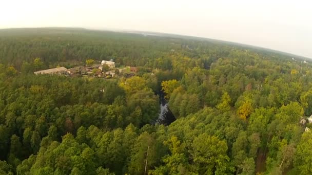 Wood, river and village. Aerial — Stock Video
