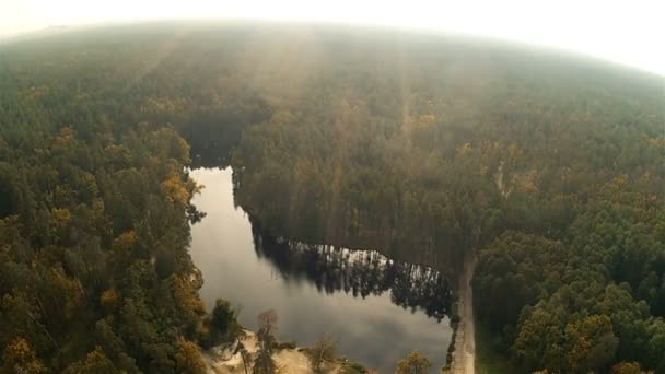 Forest landscape with a pond. Aerial — Stock Video