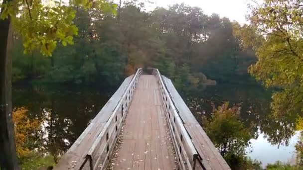 Puente de madera. Antena — Vídeos de Stock