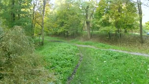 Foot Path in park with a pond. Aerial — Stock Video