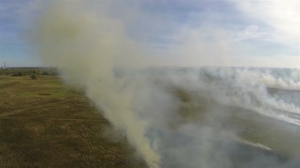 Fumo de fogo na estepe. Panorama aéreo — Vídeo de Stock