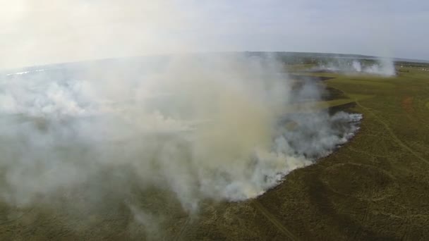 Vuelo en humo de fuego en la estepa. Disparo aéreo — Vídeos de Stock